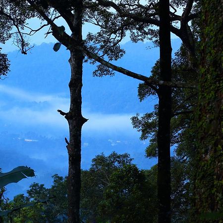 Madhumanthra Resort - Homestay Munnar Extérieur photo