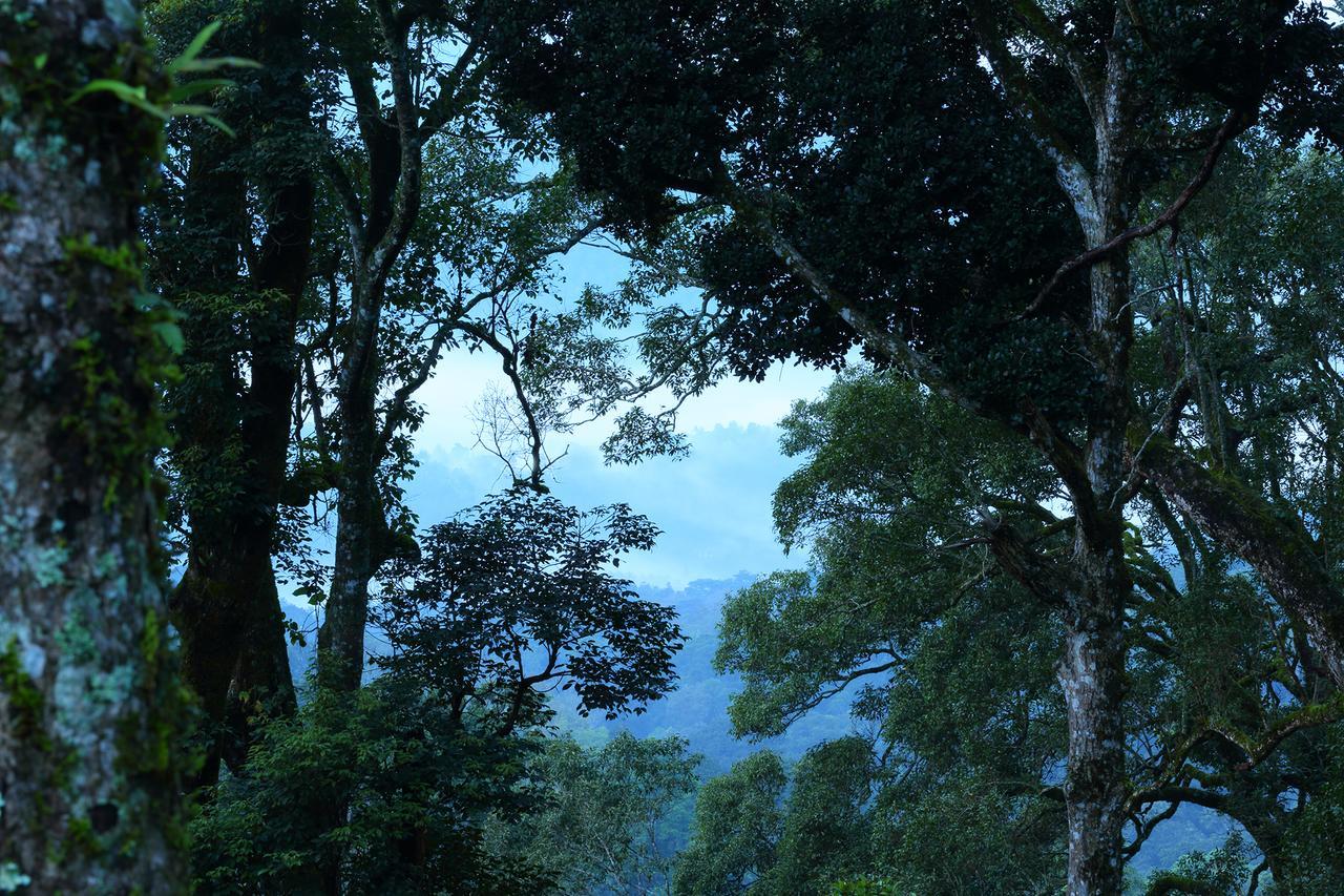 Madhumanthra Resort - Homestay Munnar Extérieur photo