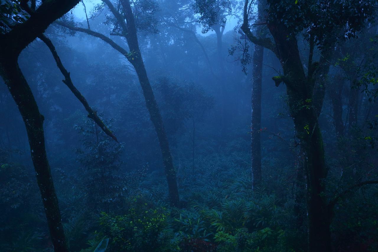 Madhumanthra Resort - Homestay Munnar Extérieur photo