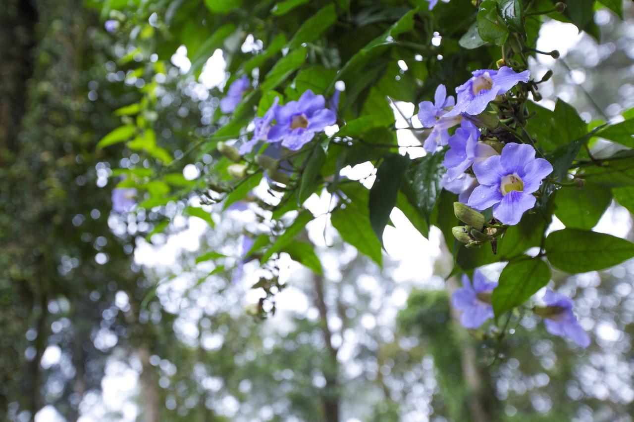 Madhumanthra Resort - Homestay Munnar Extérieur photo